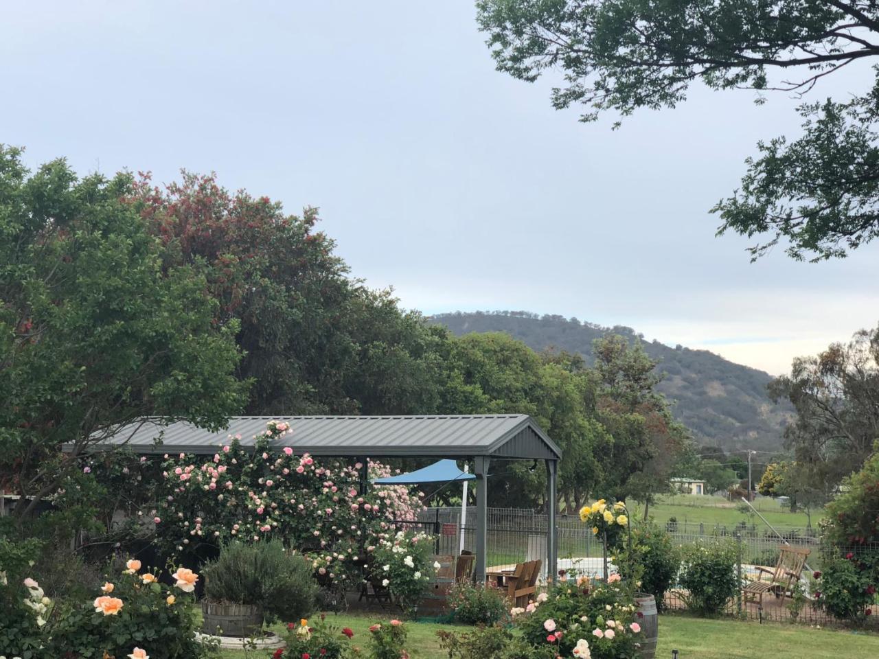 Valley View Motel Murrurundi Eksteriør bilde